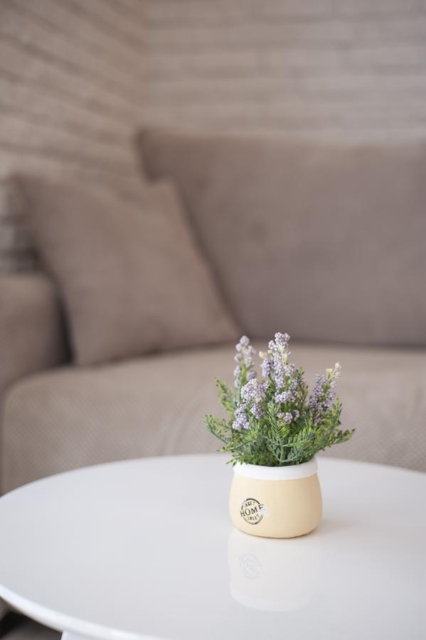 Appartement Dzaleta *