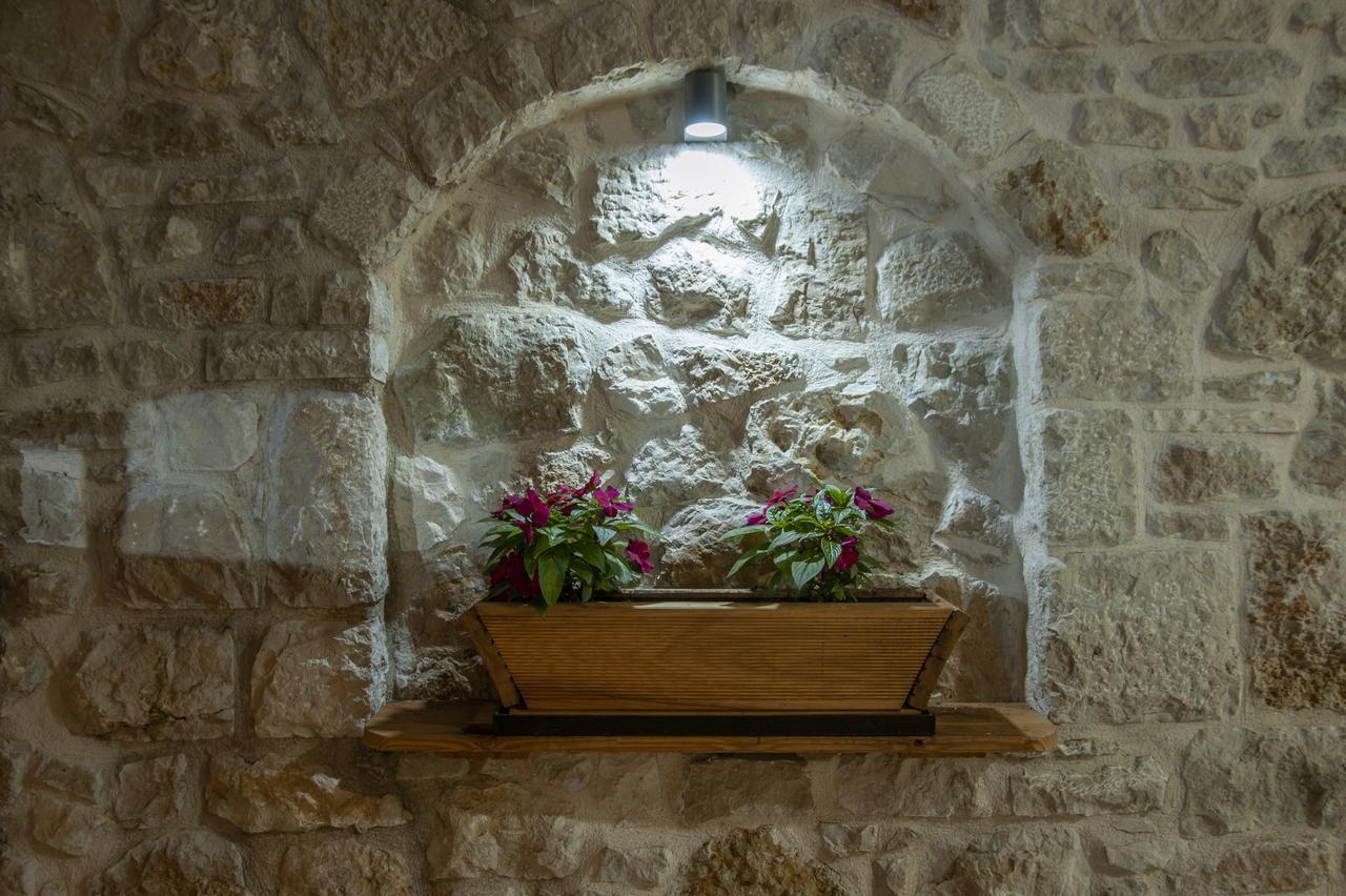 Appartement Dzaleta